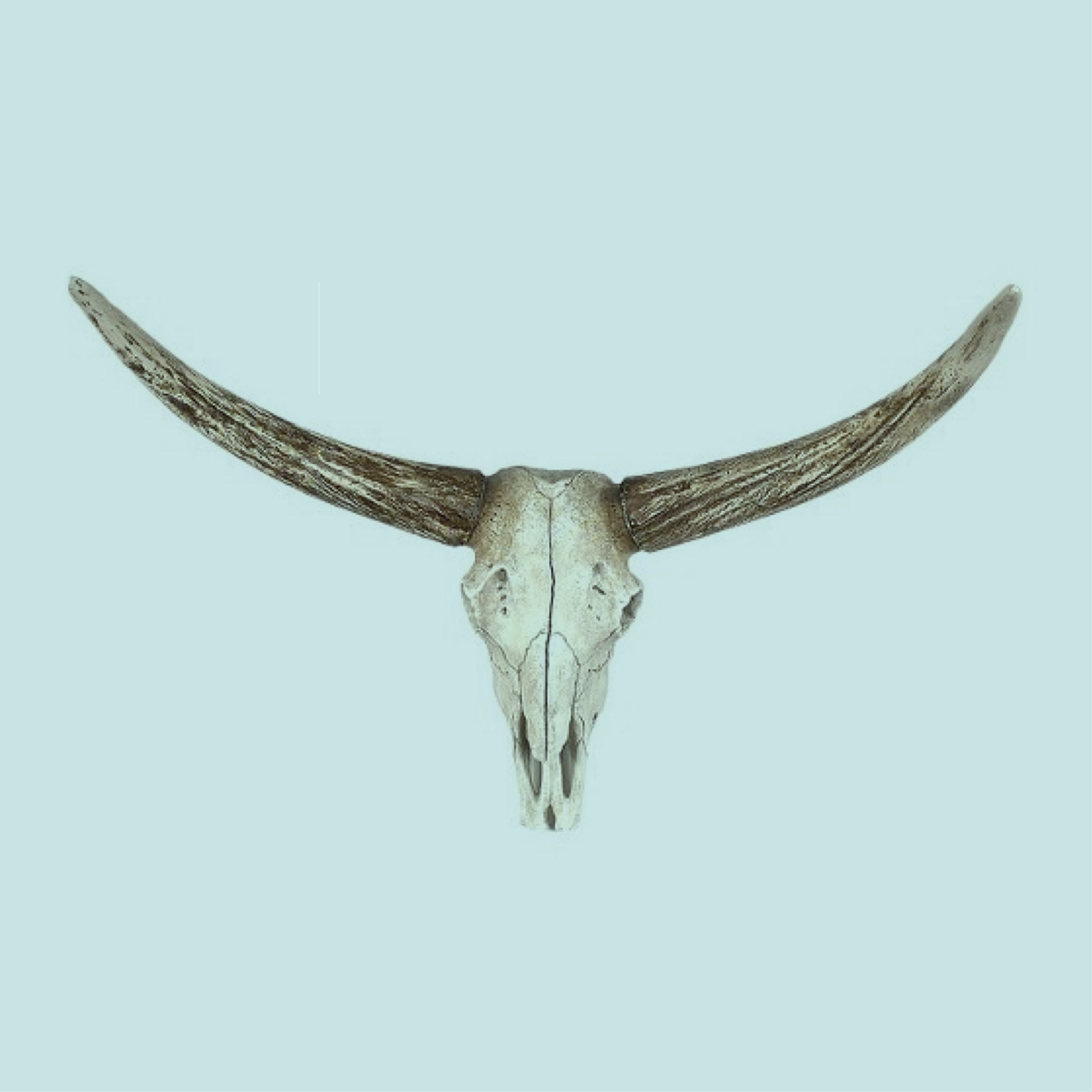 © Horns