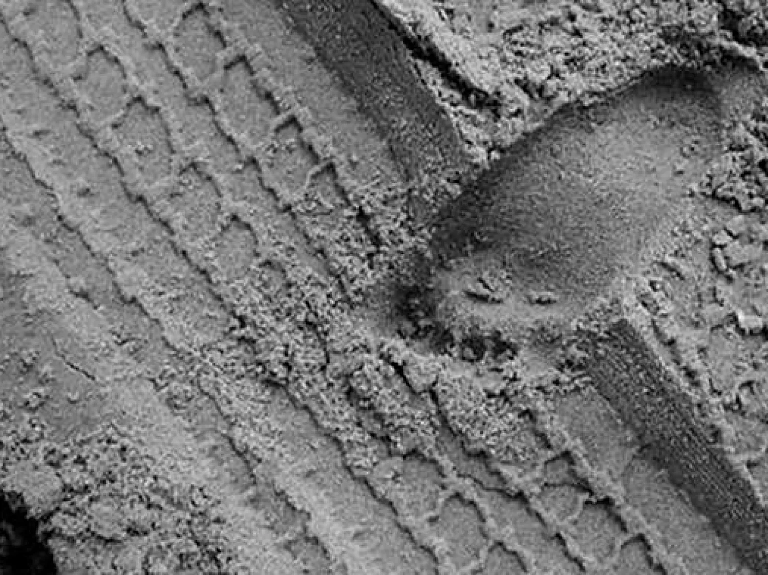 Photo Traces © DR