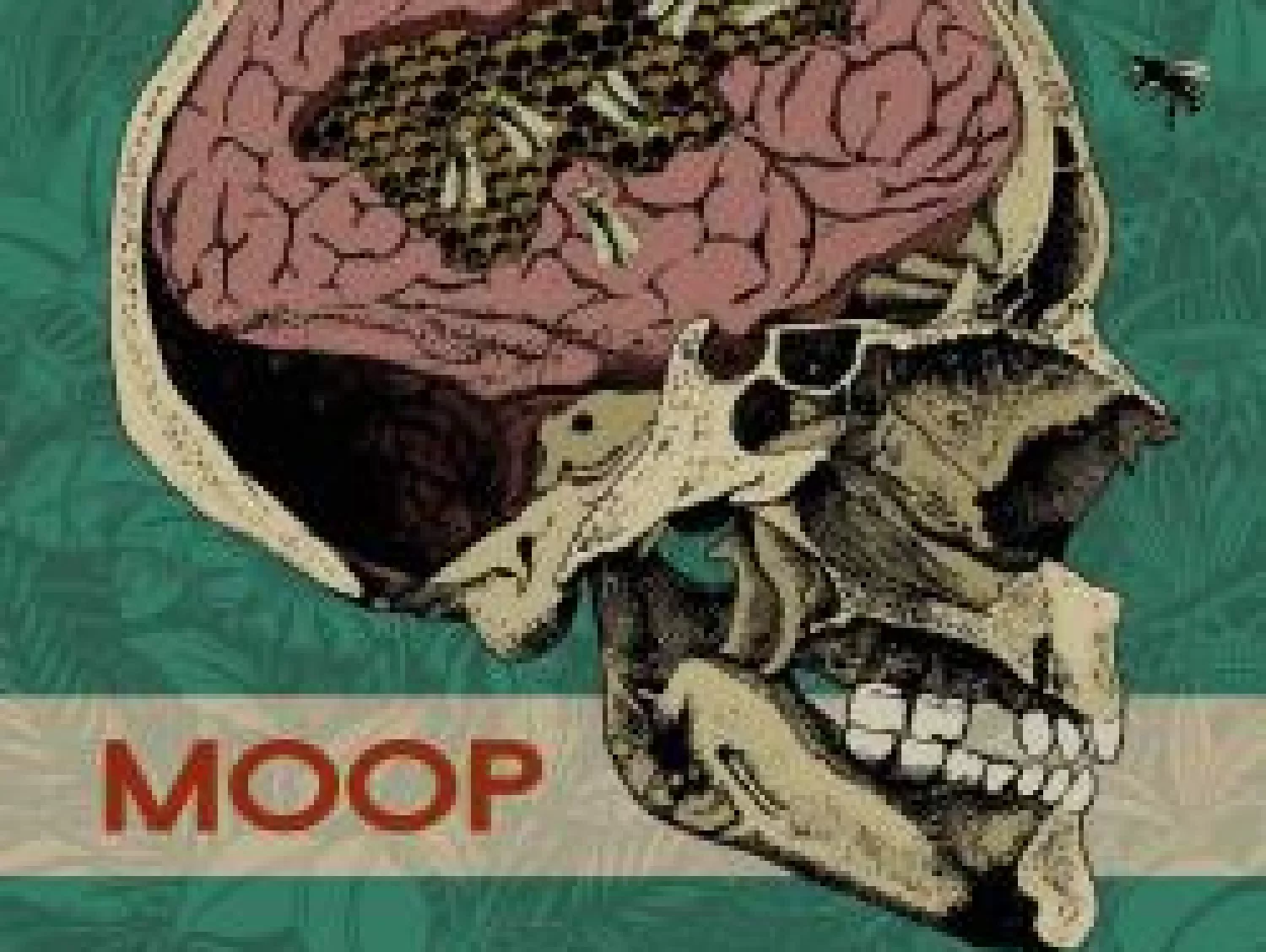 Moop