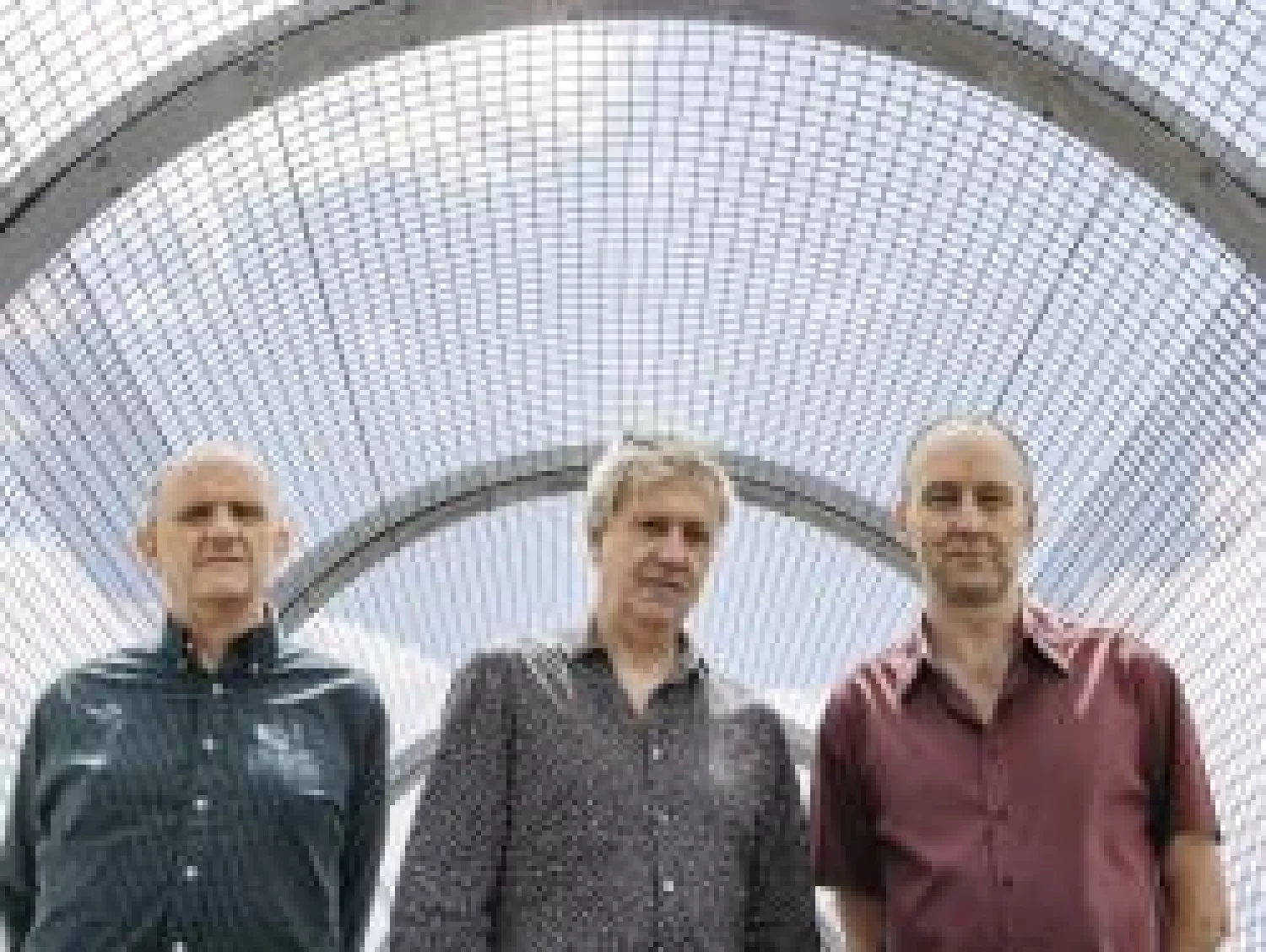The Necks